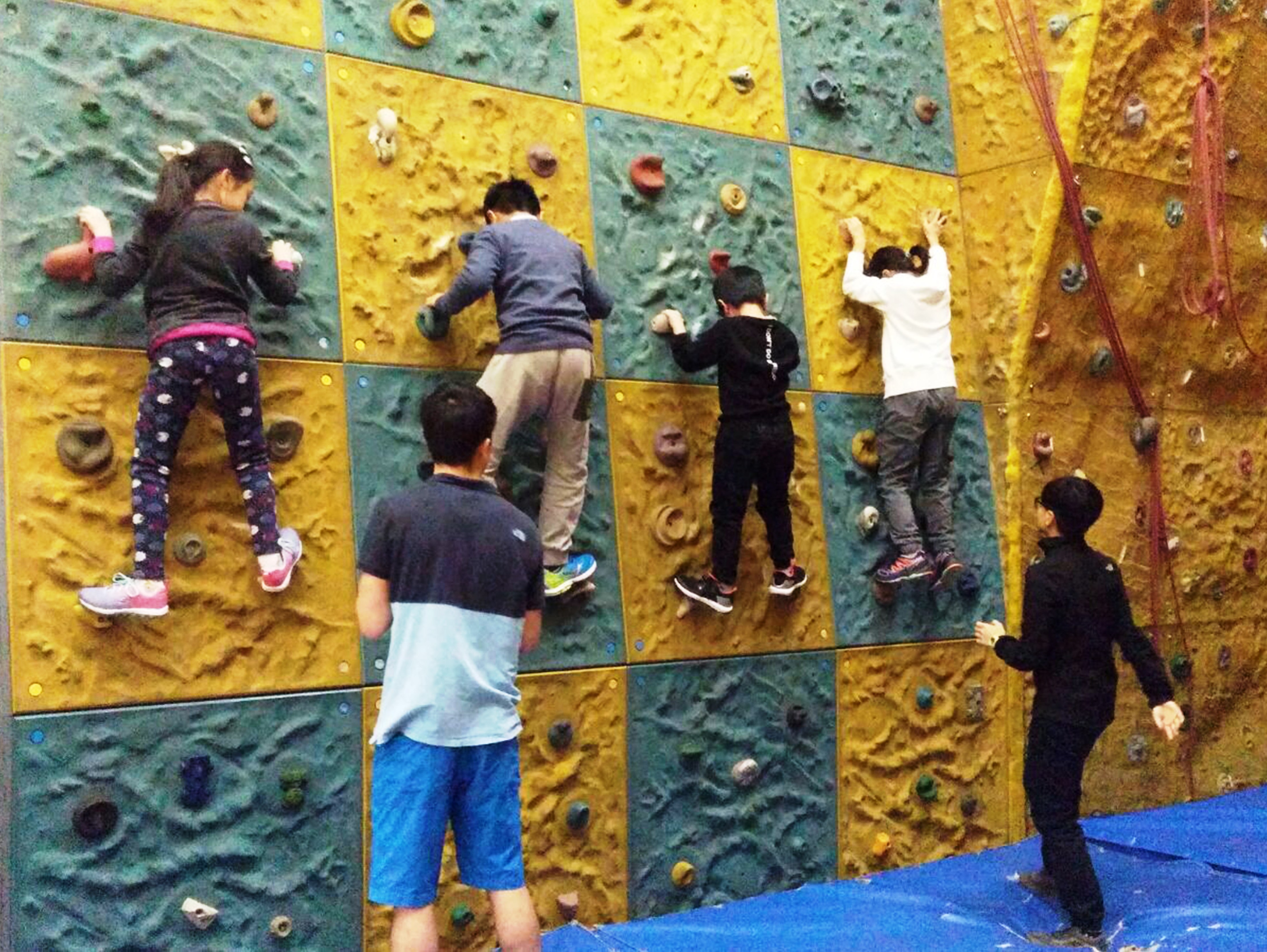 Staff scale new heights in rock climbing event - Hactl